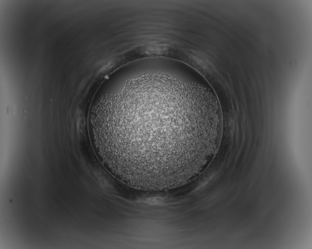 X0000086300228200704131616