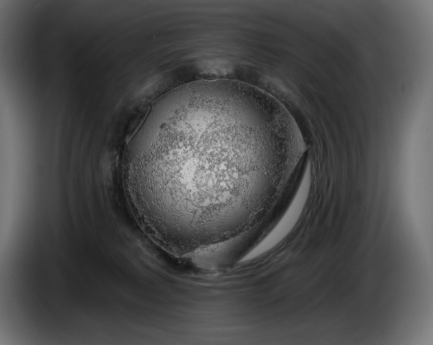 X0000086300229200704131616