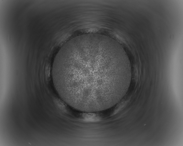 X0000086300230200704131616