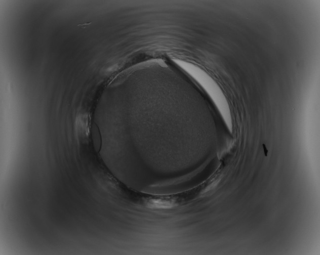 X0000086300232200704131616