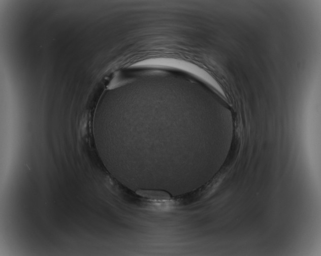 X0000086300233200704131616