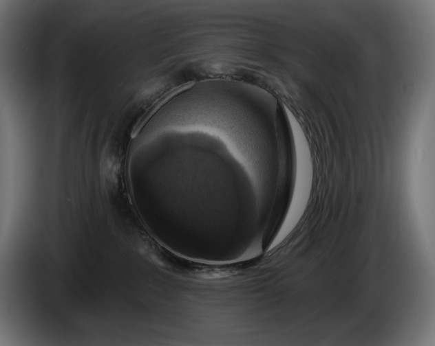 X0000086300235200704131616