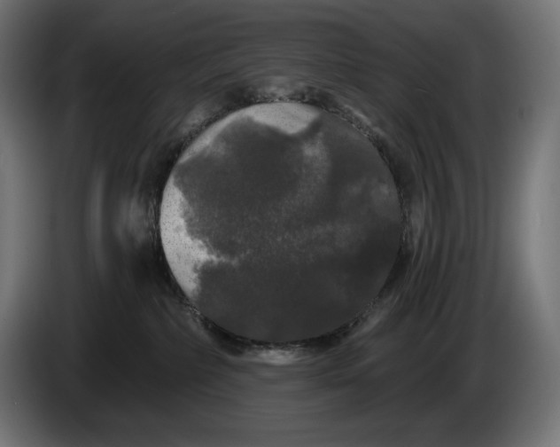 X0000086300236200704131616