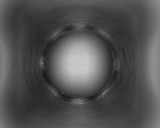 X0000086300238200704131616