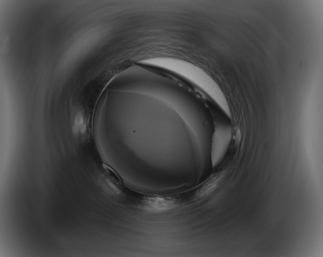 X0000086300239200704131616