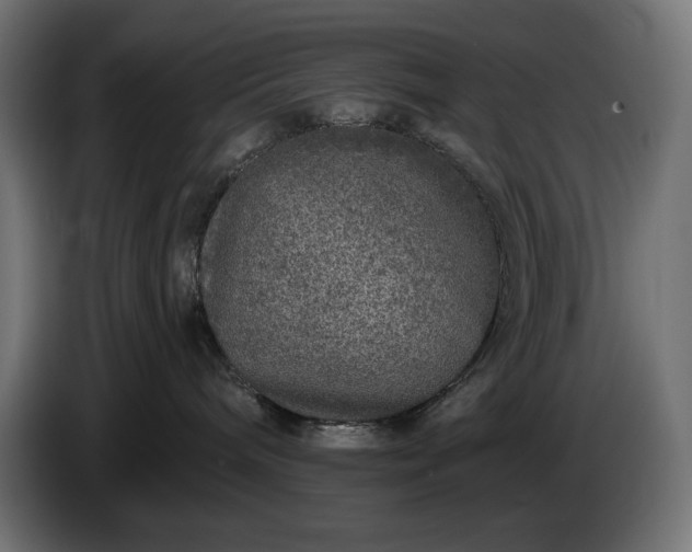 X0000086300240200704131616