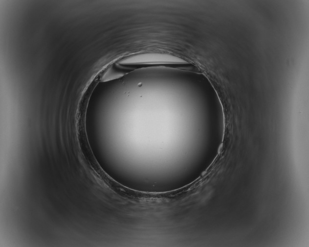 X0000086300242200704131615