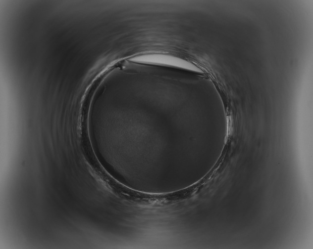 X0000086300243200704131615