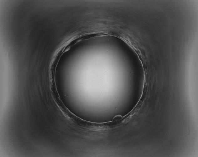 X0000086300245200704131615