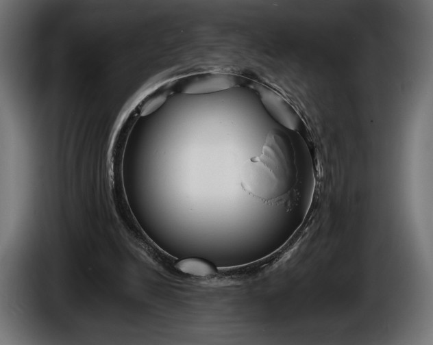 X0000086300246200704131615