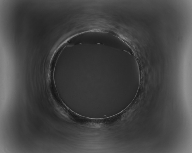 X0000086300247200704131615