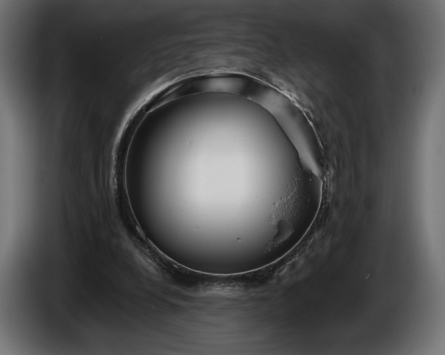 X0000086300248200704131615