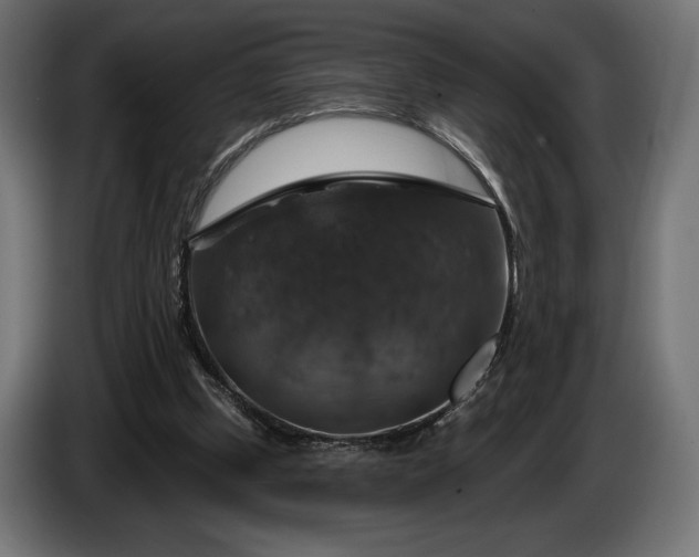 X0000086300249200704131615