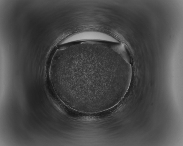 X0000086300250200704131616