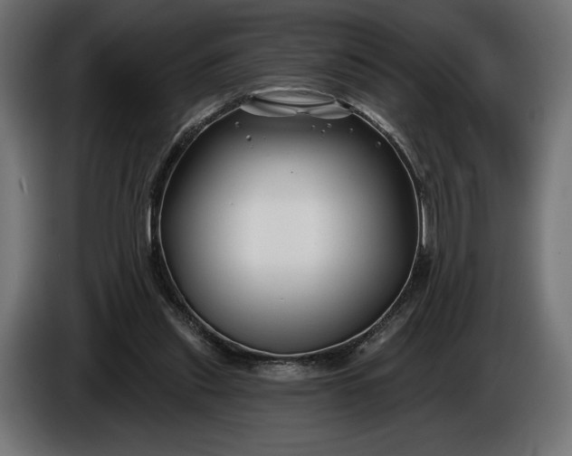 X0000086300253200704131616