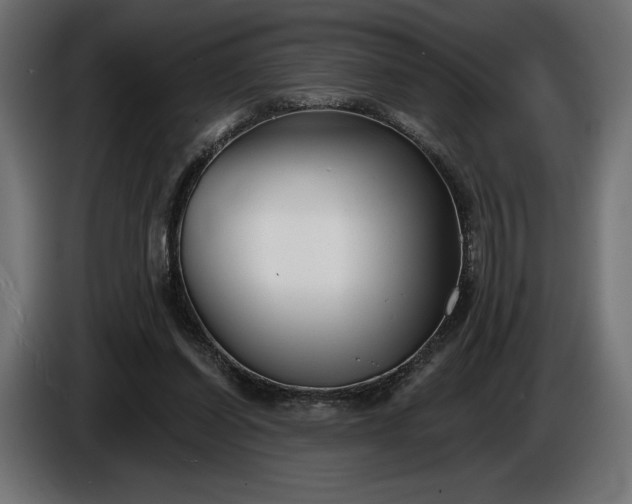 X0000086300254200704131616