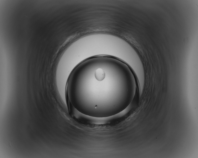 X0000086300256200704131616