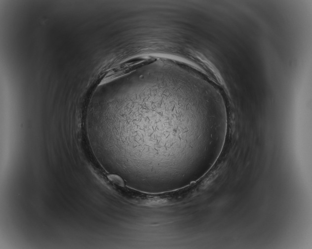 X0000086300257200704131616