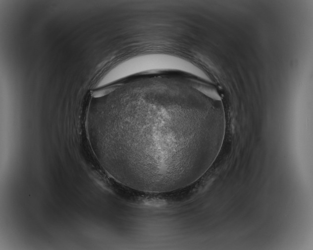 X0000086300258200704131616