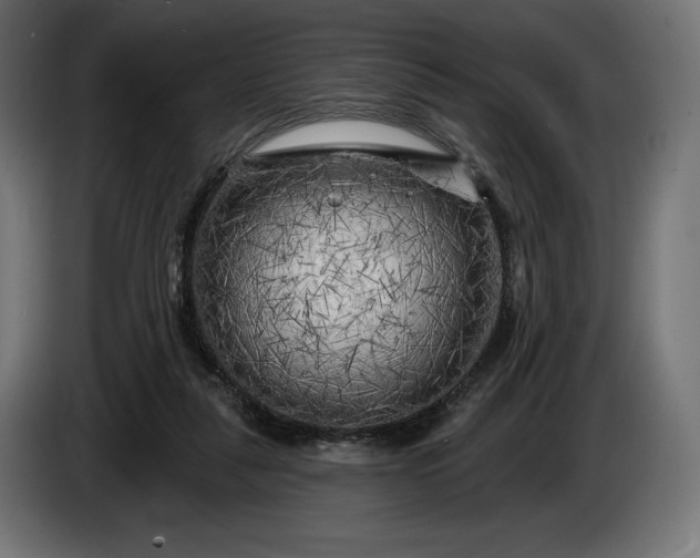 X0000086300259200704131616