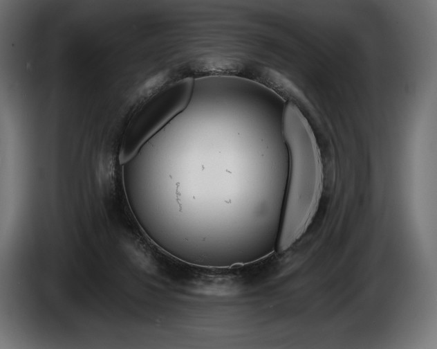 X0000086300260200704131616