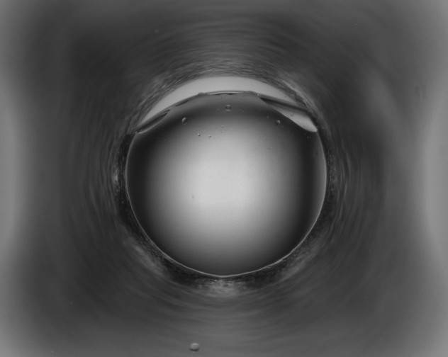 X0000086300261200704131616