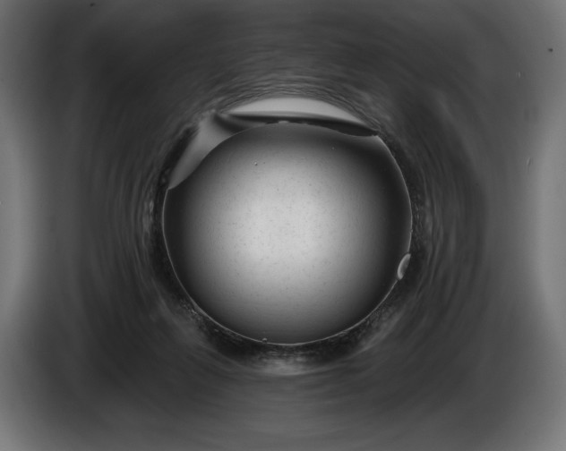 X0000086300263200704131616