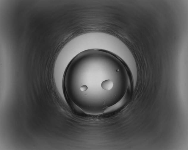 X0000086300264200704131616