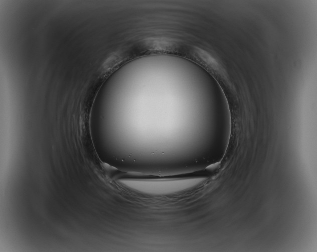 X0000086300265200704131616