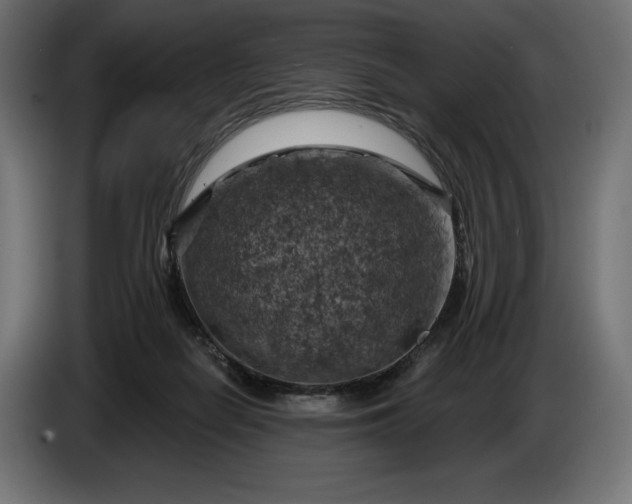 X0000086300266200704131616