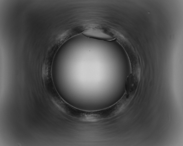 X0000086300268200704131616