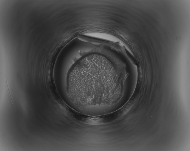 X0000086300269200704131616