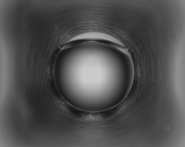 X0000086300270200704131616