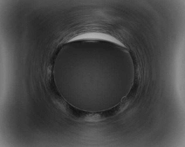 X0000086300271200704131616