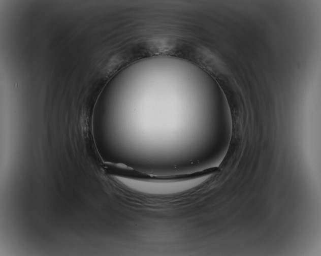 X0000086300274200704131616