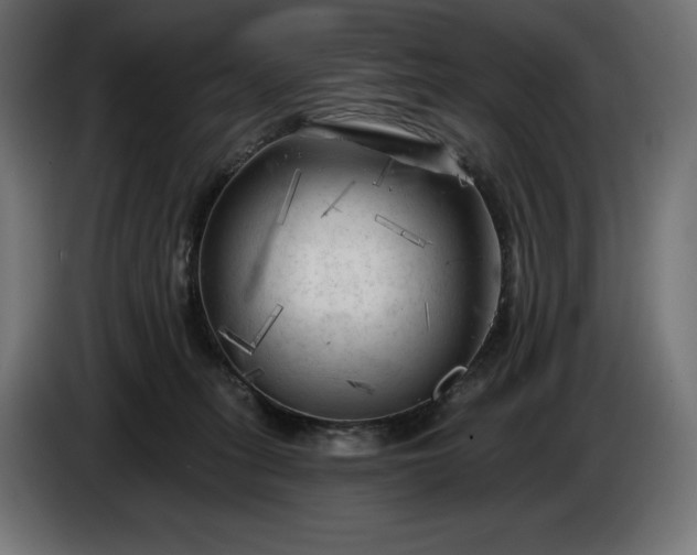 X0000086300275200704131616