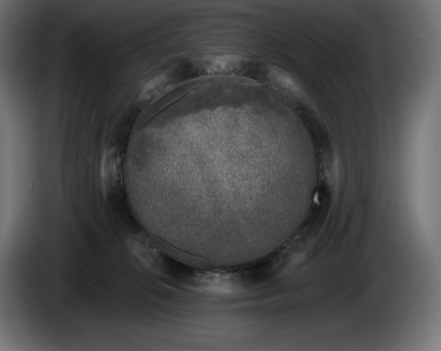 X0000086300276200704131616