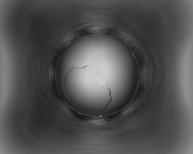 X0000086300278200704131616