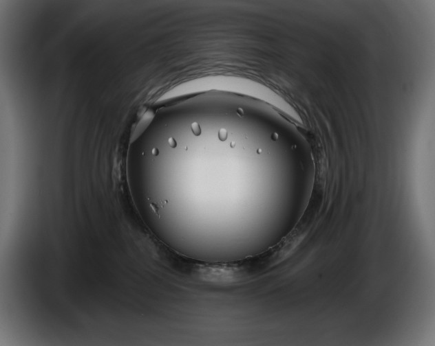 X0000086300282200704131616