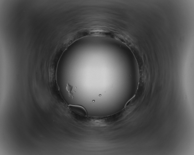 X0000086300283200704131616