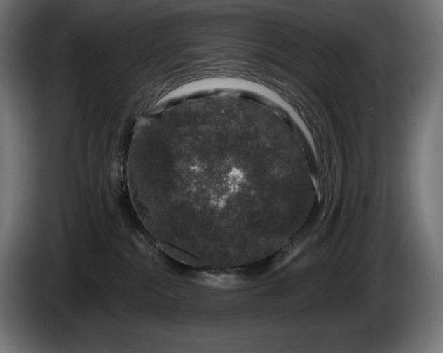 X0000086300284200704131616