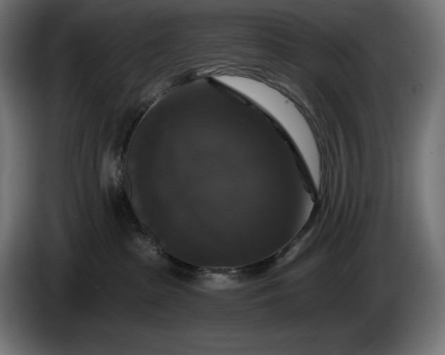 X0000086300285200704131616