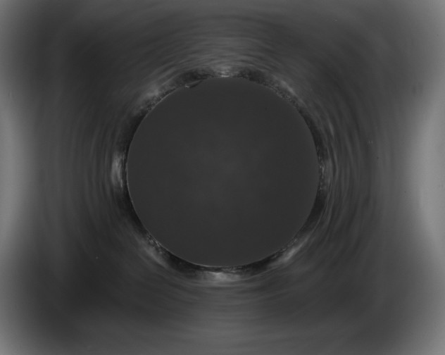 X0000086300286200704131616