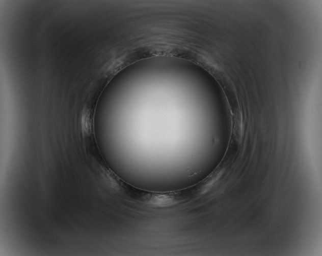 X0000086300287200704131616