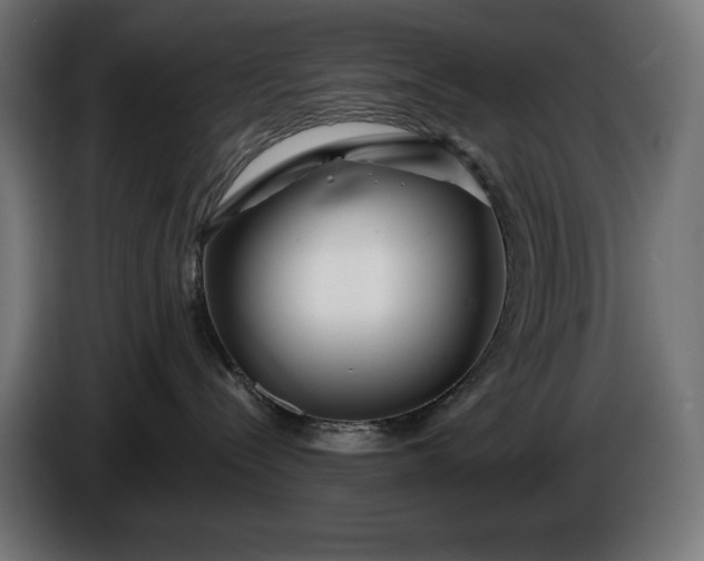 X0000086300288200704131616