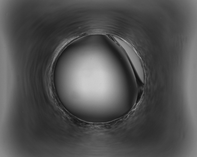 X0000086300289200704131615