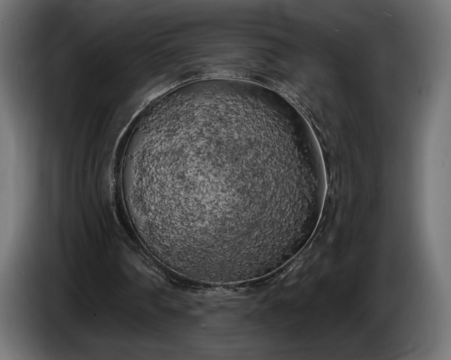 X0000086300290200704131615