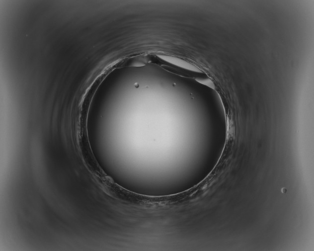 X0000086300291200704131615