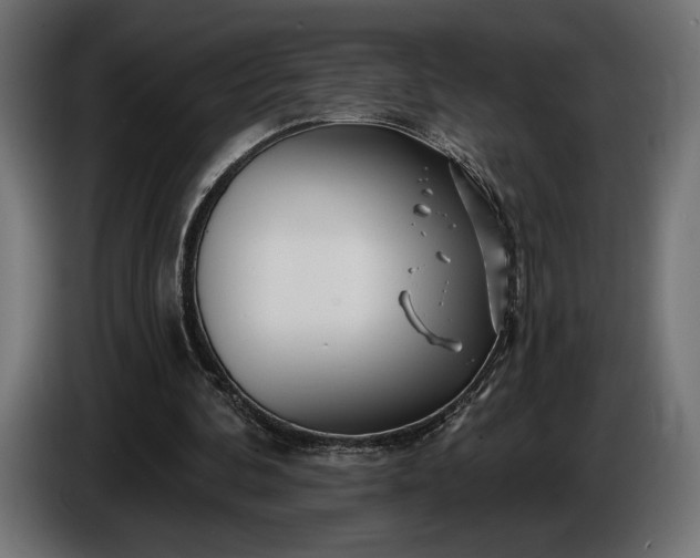 X0000086300292200704131615