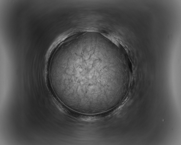 X0000086300293200704131615